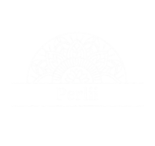 Travel Smarter with Perlii